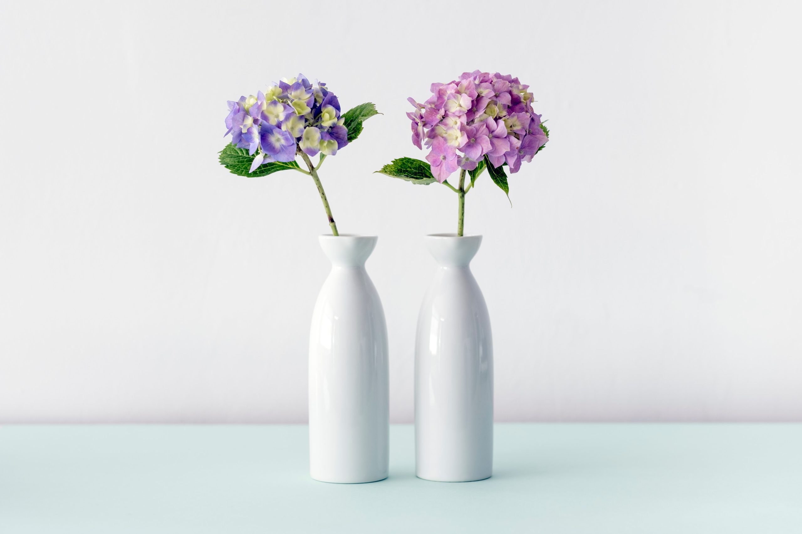two white vases with purple hydrangeas