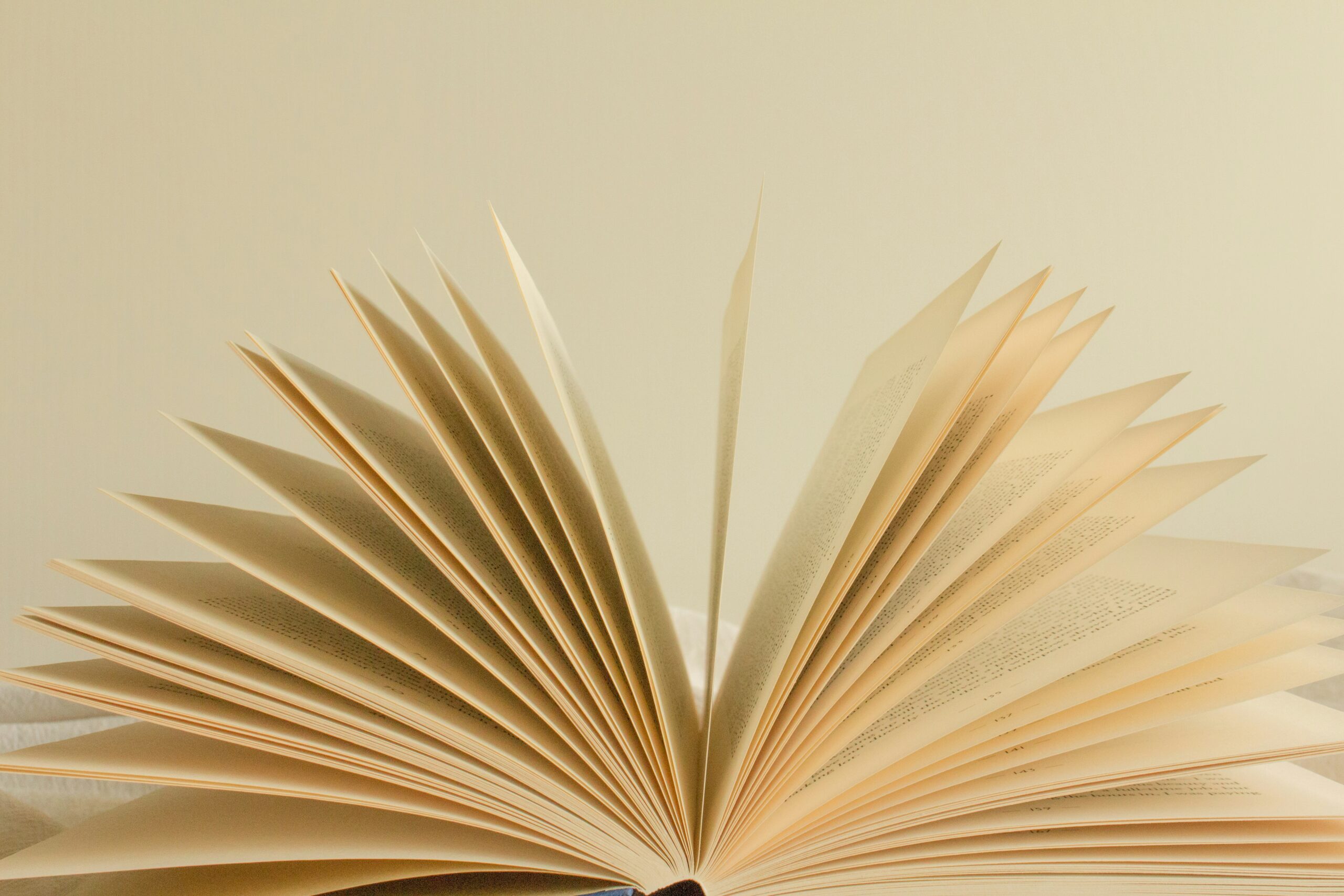 The Best Books I Read in 2025